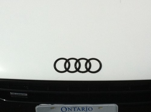 Jessiethecat22's profile picture. 