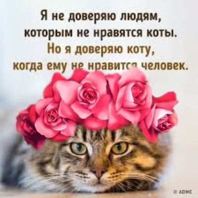 I'm Ukrainian🇺🇦.
Ukraine, Mariupol-forever in my heart!❤
Жила в Воронеже.
Real Madrid🇪🇸. 
Liverpool.Динамо Киев.ЦСКА.
Не вижу противоречий,вижу жизнь!
YNWA✊