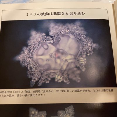 maru369maru's profile picture. 567のお陰で世界はピラミッド社会だと知りました🔼 当たり前がありがたい✨ 休み無く動く私の心臓💓小さな幸せ探ししていたら、感謝しかない日々へ✨ 暮らしに感謝があれば愚痴に不足無し✨人間を楽しむ✨