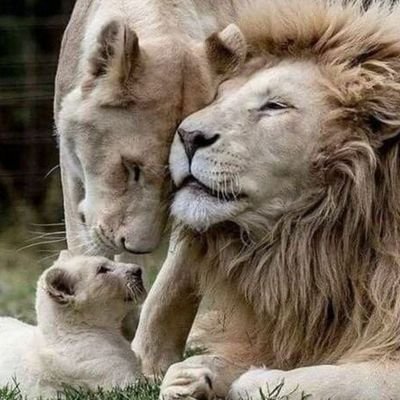 mpecafuthomas's profile picture. Hustler by nature!