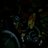 triedntired1's profile image