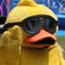 Quacky (@qu1cky_) Twitter profile photo