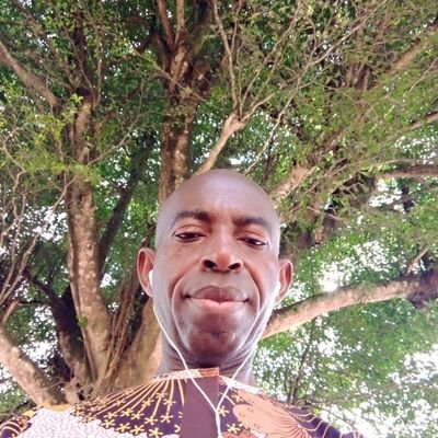 Obiemma95261156's profile picture. 
