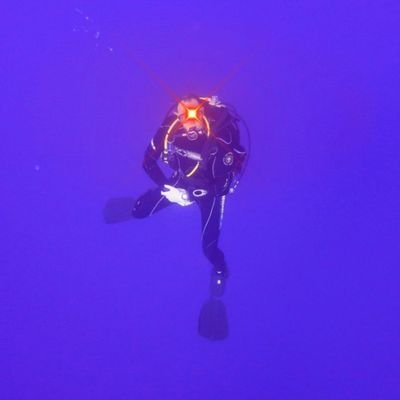 Jrich82Julian's profile picture. 