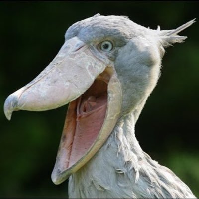 RobertW09641305's profile picture. 