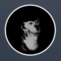 J D (@nftanxiety) 's Twitter Profile