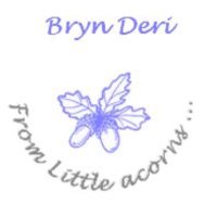 Bryn Deri Dosbarth 5 (@bl3brynd) 's Twitter Profile Photo