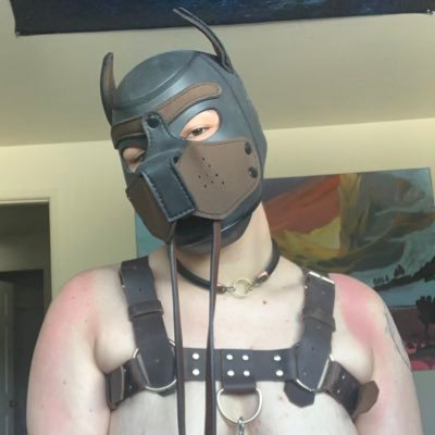 He/him, kinky transguy, not looking for partners. 18+ ONLY! OF link https://t.co/2Q8dzfOytW 🥰🥰🐶❤️