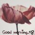 Suganthi (@suganth05077986) Twitter profile photo Suganthi (@suganth05077986) Twitter profile photo