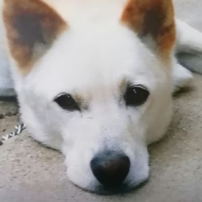 POTIUME's profile picture. 変な方は、ブロックします!
しつこい人は、通報します!悪しからず!