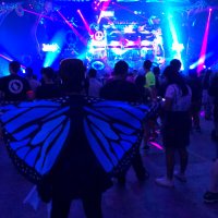 M4y4 (@mayang_island) 's Twitter Profile Photo