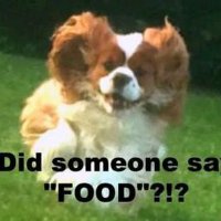 Paul Walker (@paulwal31268048) 's Twitter Profile