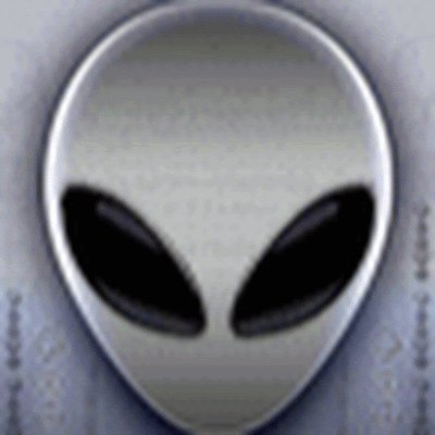 RatBag91223463's profile picture. 