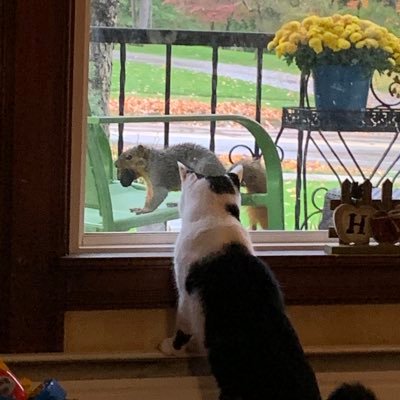 3portlyfingers's profile picture. 