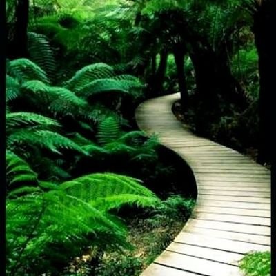 nupurvyas905's profile picture. 