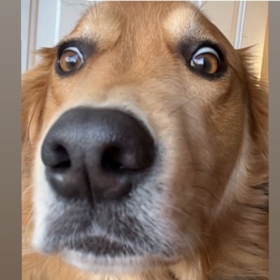 xox_maya's profile picture. 