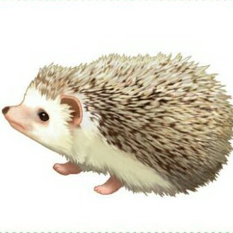 李