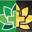 Giving Relief One Patient at a Time.
We Are Bartlesvilles' Most Trusted CBD Retail Shop and Medical Marijuana Dispensary. *No Medical Card Needed to Enter!*