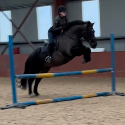 ReganKeenan3's profile picture. Just a horsey girl with no life 👍