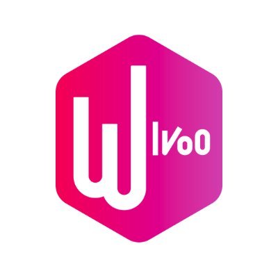 Wivoo1's profile picture. Wivoo agence conseil & start-up studio, référence en Product Management !