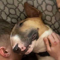 EBT (@ebtmack) 's Twitter Profile