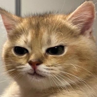 Pateeeennn's profile picture. what are you looking at ?