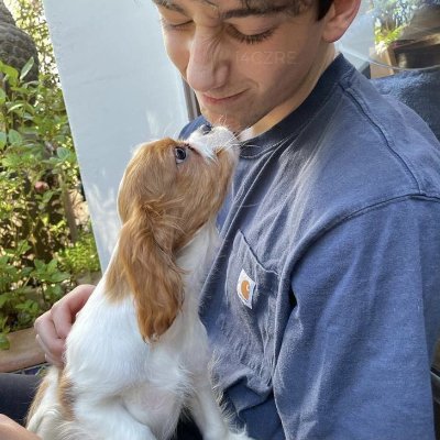 nayelisvoting's profile picture. soy @i4CZRE