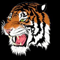 Lancaster High School Tigers Baseball (@lancasterbaseb1) 's Twitter Profile