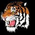 Lancaster High School Tigers Baseball (@LancasterBaseb1) Twitter profile photo