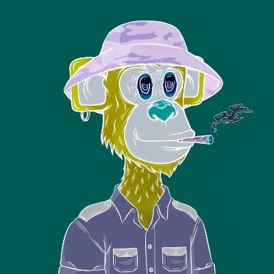 rehmansaabir786's profile picture. psymonkey NFT