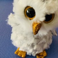 Melissa aka Owls Molloy(@Melissaswebster) 's Twitter Profile Photo