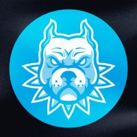 DETONA GAMING (@detonagoficial) 's Twitter Profile Photo