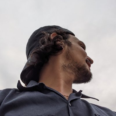 CarlPNantel's profile picture. Owner of a plant-based cat litter company and NFT creator.