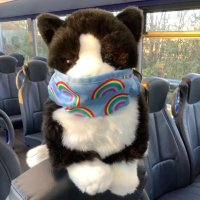 Travel Cat(@TopDeckCat) 's Twitter Profile Photo