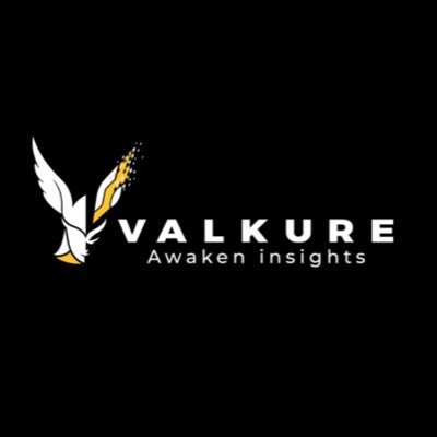 We bring cutting edge VR technology to cyber security and network operations. Monitor & protect your network with Valkure.