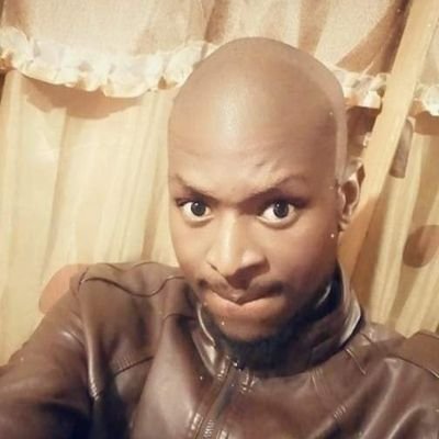 PiniVisto's profile picture. 