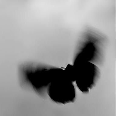 deprmin's profile picture. 