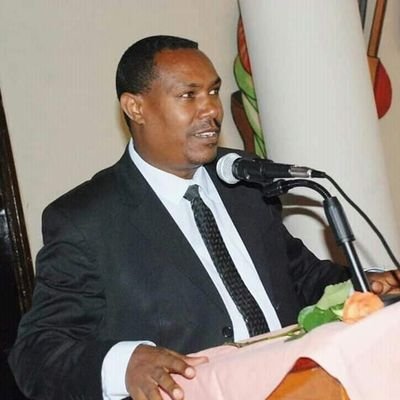 work formerly at State minister status, 
Member to the Amhara regional council and  Member  to the Ethiopian  house of Federation,UN IPPC FOCAL, DDG, EAA