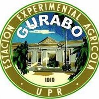 Estación Experimental Agrícola Gurabo UPR(@eeagurabo) 's Twitter Profile Photo