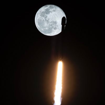 David02007775's profile picture. less is More Except With Crypto