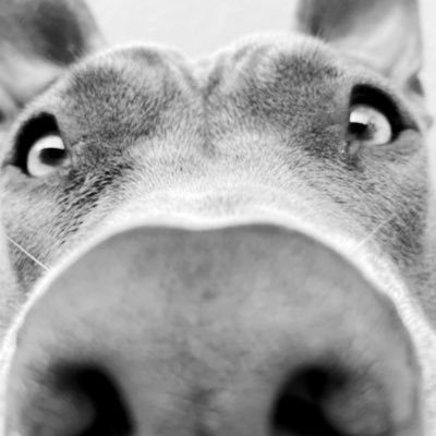 KarenHigueraG's profile picture. 만나서 반갑습니다