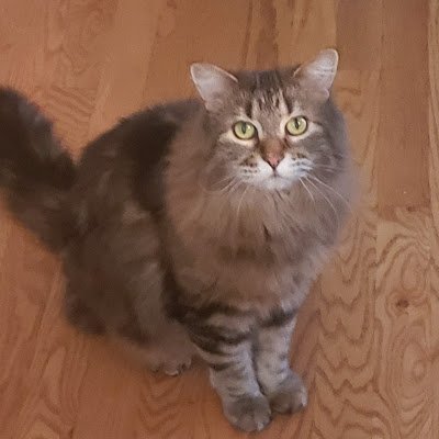 Keegan22907897's profile picture. 