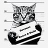 DTradingCat's profile picture. ..The mind is its own place, and in itself can make a Heaven of Hell, a Hell of Heaven.. Trading commodities and indices brings me peace ✌️