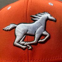 Mandarin_Baseball (@mandarin_bsbl) 's Twitter Profile Photo Mandarin_Baseball (@mandarin_bsbl) 's Twitter Profile Photo