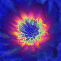 theflyingkiwi88 (@theflyingkiwi88) 's Twitter Profile