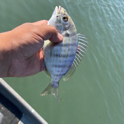 robert56902877's profile picture. Shit idk