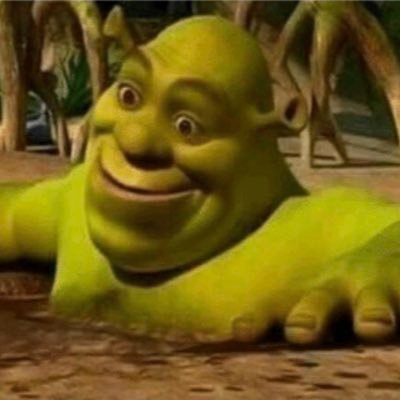 feeny_cy's profile picture. fafo