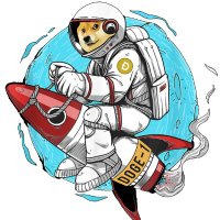 Doge-1 Mission to the moon (@mission_doge1) 's Twitter Profile