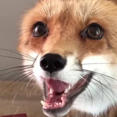 LaGriegax's profile picture. 