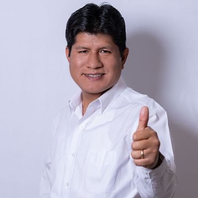Ingeniero Agronomo,  Alcalde Distrital Ayna -La Mar- VRAEM (2015-2018), Trabajos independientes.